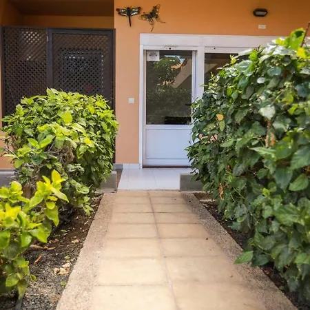 Vistas 3 * 코라레호